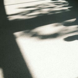 Od blokady do działania